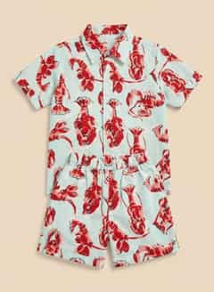Ensemble Lanto coloris Homard